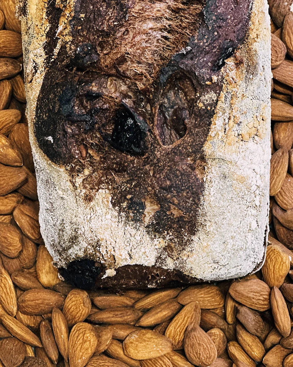 Chocolate Almond Bread - Image 4