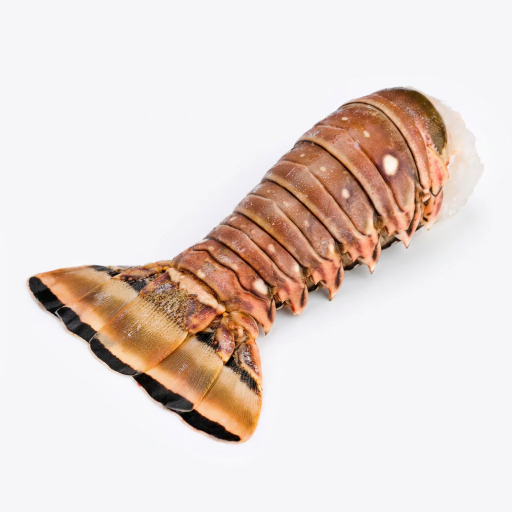 Wild Caught Lobster Tail /lb